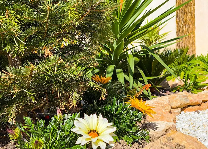 Apartamento Sunny Paradise *