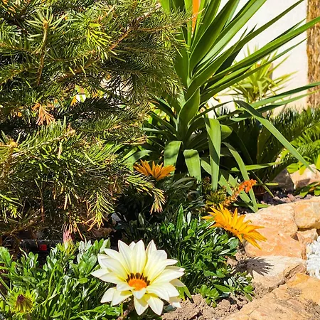 Apartamento Sunny Paradise *